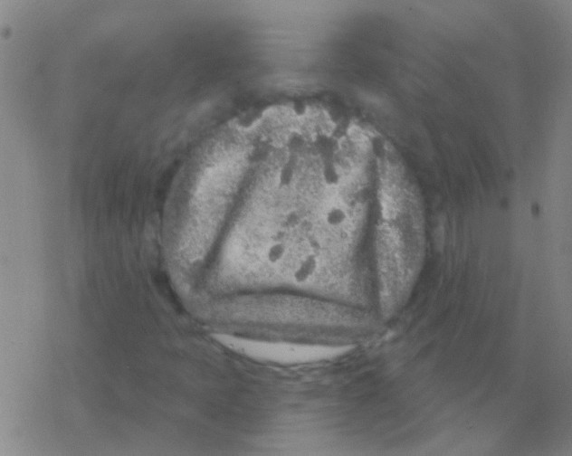 X0000076321397200610271952