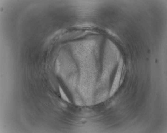 X0000076321398200610271952