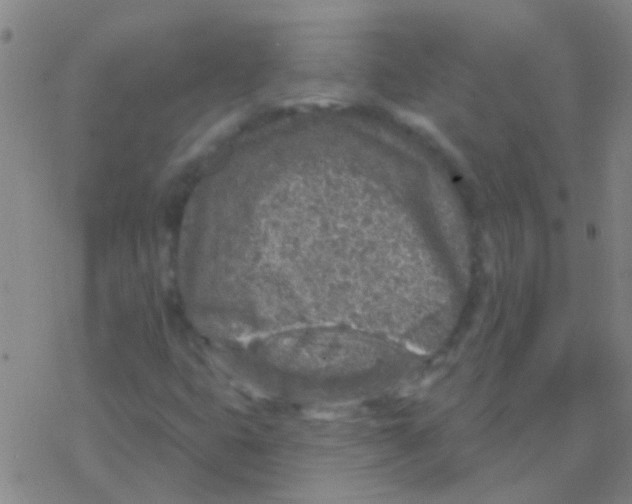 X0000076321399200610271952