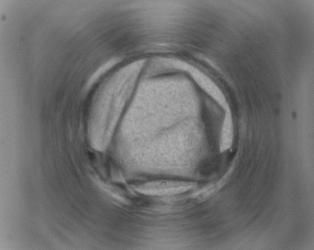 X0000076321402200610271952