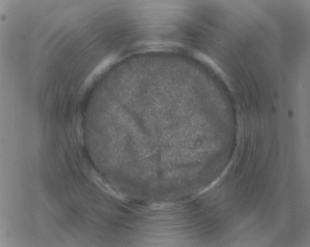 X0000076321403200610271952