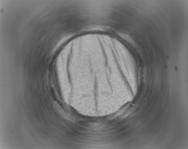 X0000076321404200610271952