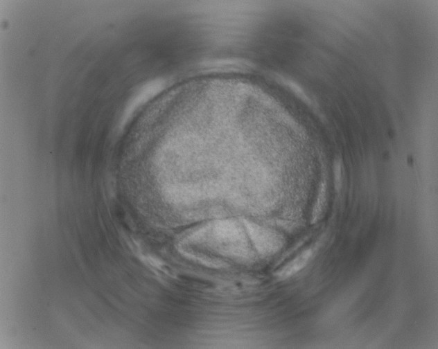 X0000076321405200610271952