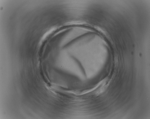 X0000076321406200610271952