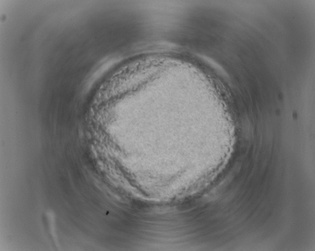 X0000076321407200610271952