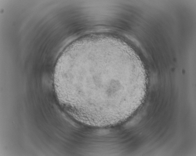 X0000076321409200610271953