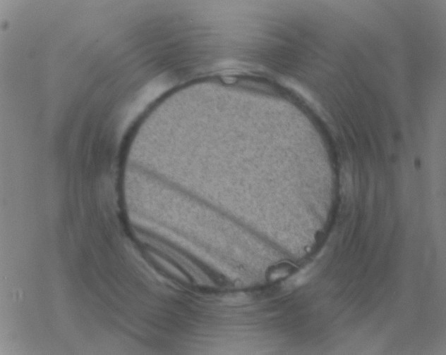 X0000076321410200610271953