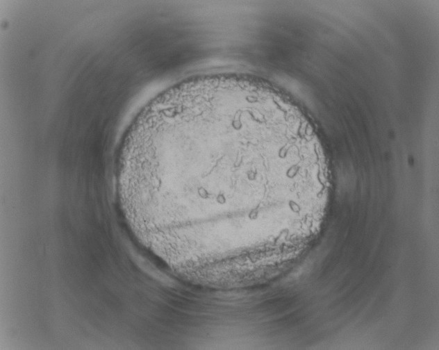 X0000076321413200610271953