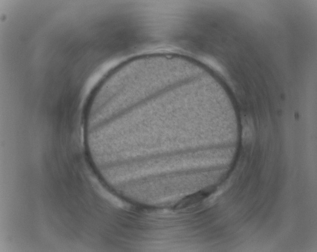 X0000076321414200610271953