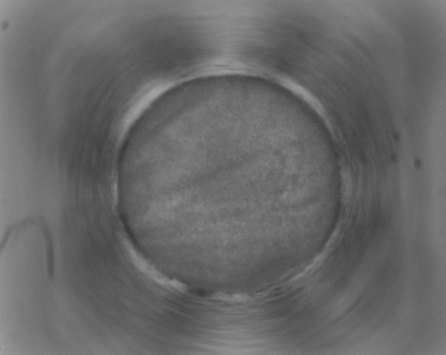 X0000076321415200610271953