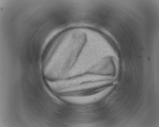 X0000076321416200610271953