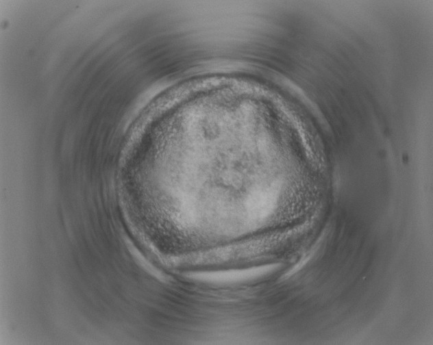 X0000076321417200610271953