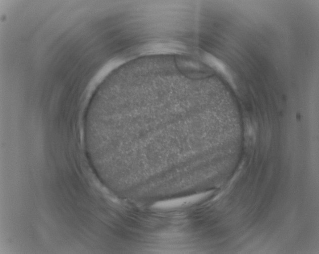 X0000076321419200610271953