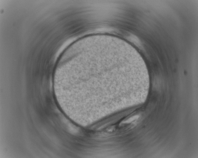 X0000076321420200610271953