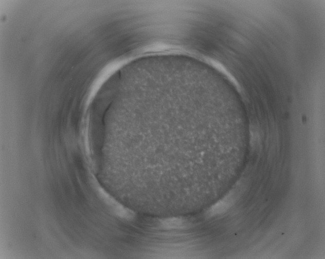 X0000076321421200610271953