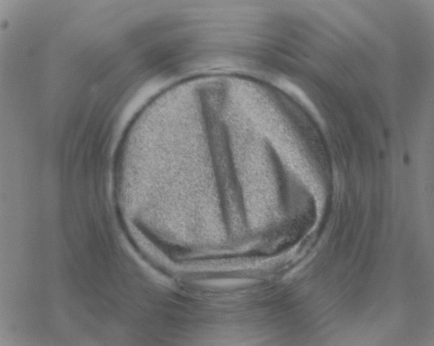 X0000076321424200610271953