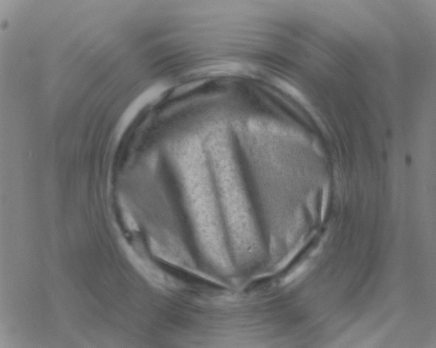 X0000076321426200610271953