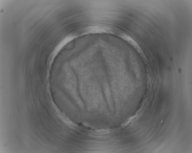 X0000076321427200610271953