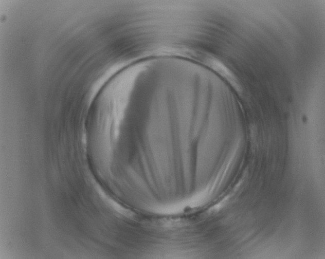 X0000076321428200610271953