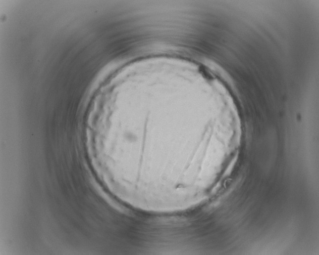 X0000076321429200610271953