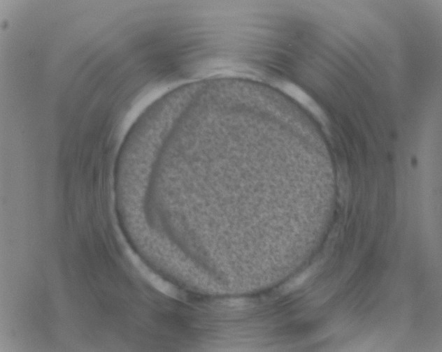 X0000076321431200610271953