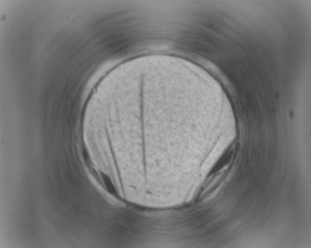 X0000076321432200610271953