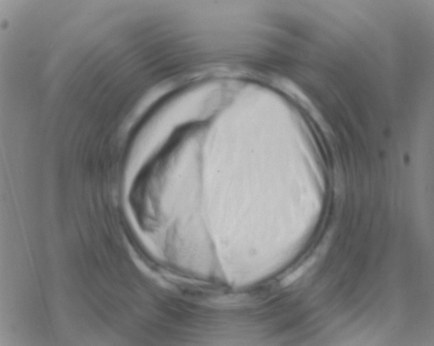 X0000076321433200610271953