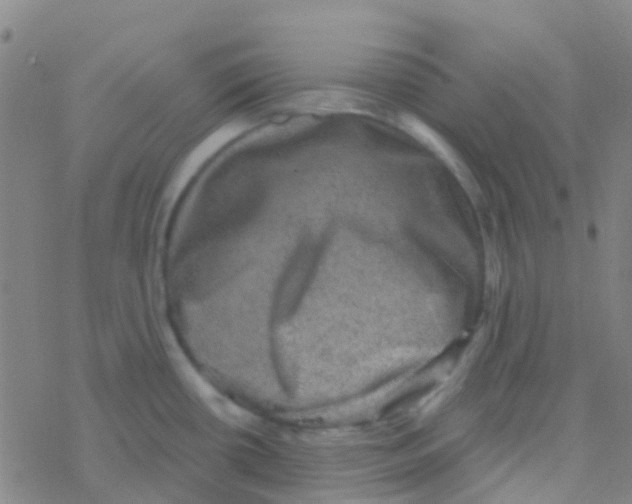 X0000076321434200610271953