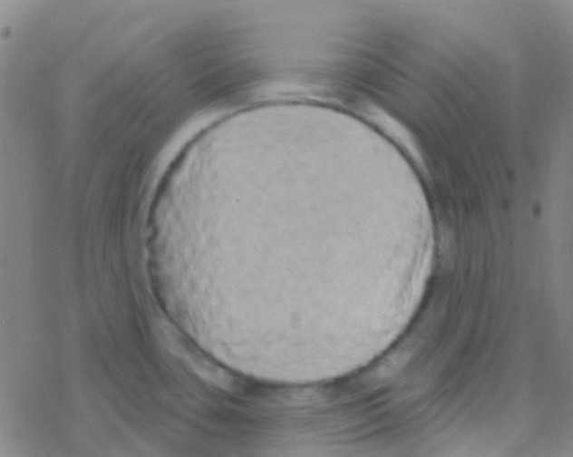 X0000076321435200610271953