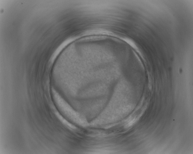 X0000076321438200610271953