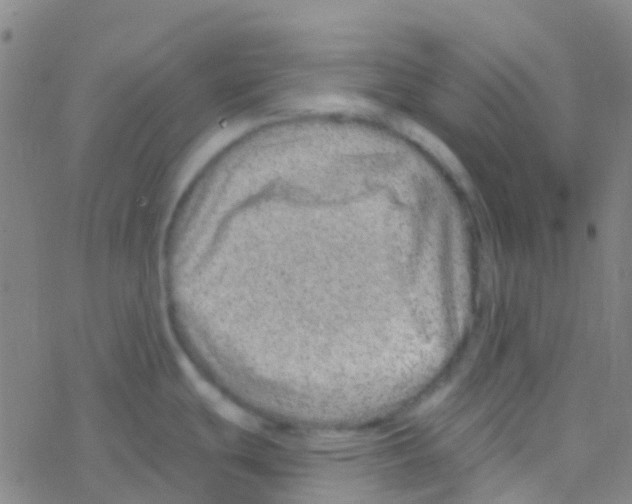 X0000076321439200610271953