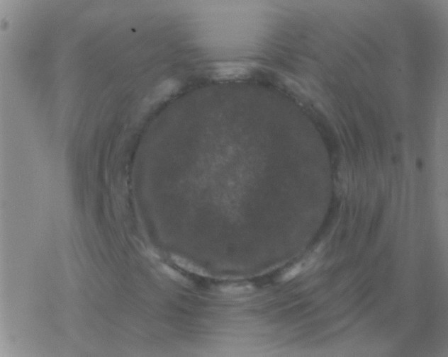 X0000076321441200610271952