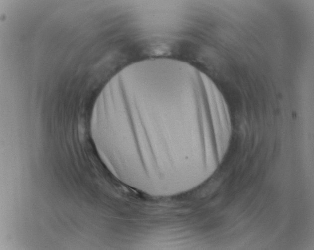 X0000076321442200610271952