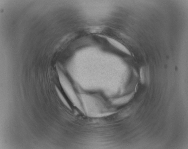 X0000076321443200610271952