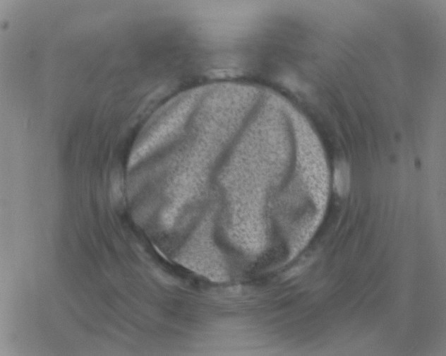 X0000076321444200610271952