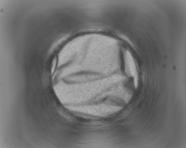 X0000076321448200610271952