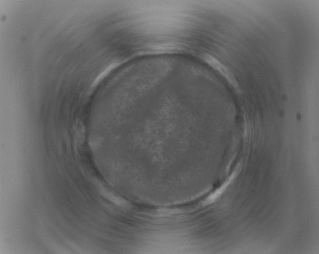 X0000076321449200610271952