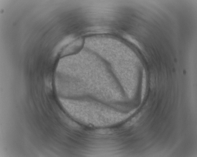 X0000076321451200610271952