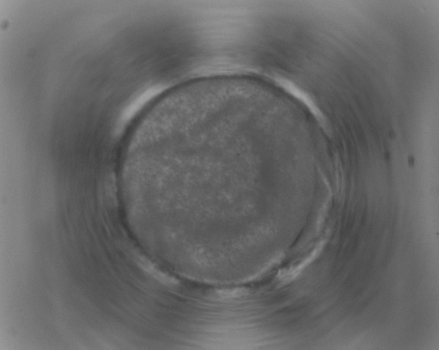 X0000076321453200610271952