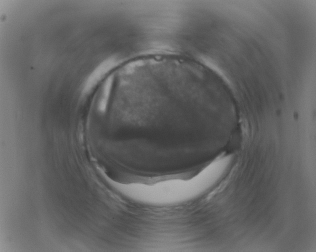 X0000076321455200610271952