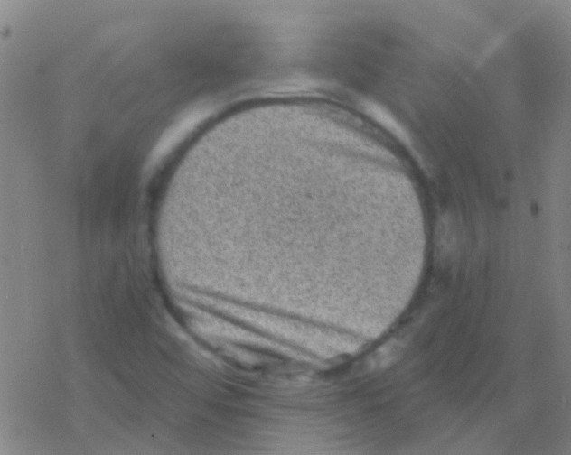 X0000076321456200610271952