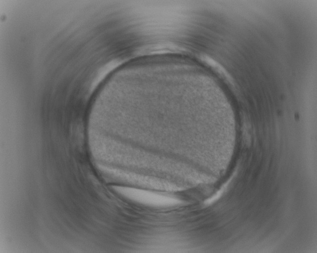 X0000076321457200610271952