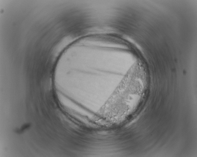 X0000076321459200610271952