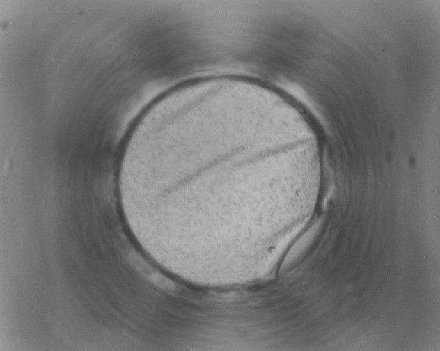 X0000076321460200610271952