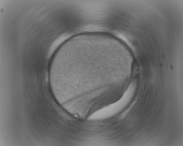 X0000076321461200610271952