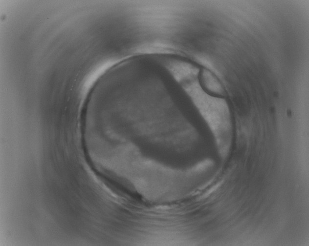 X0000076321463200610271952