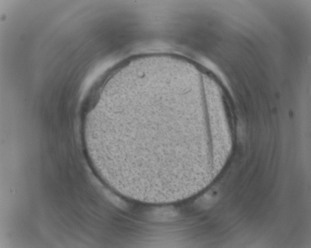 X0000076321464200610271952