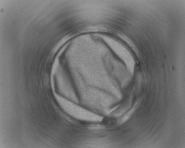 X0000076321465200610271952