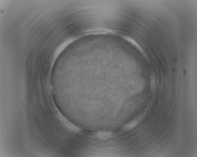 X0000076321466200610271952