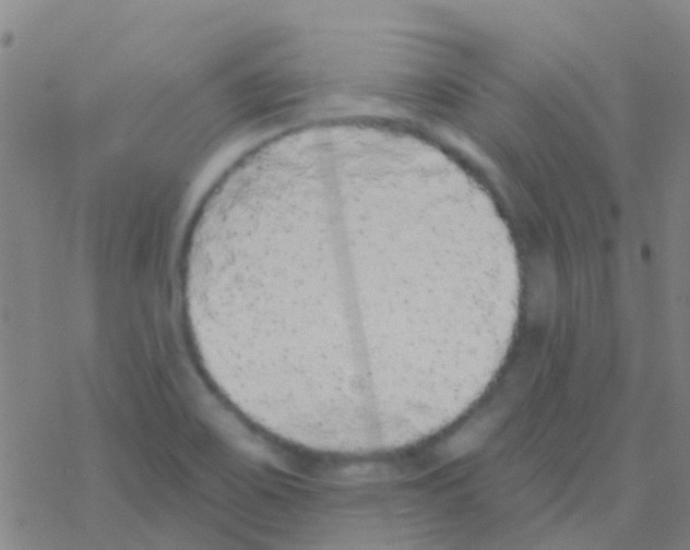 X0000076321467200610271952